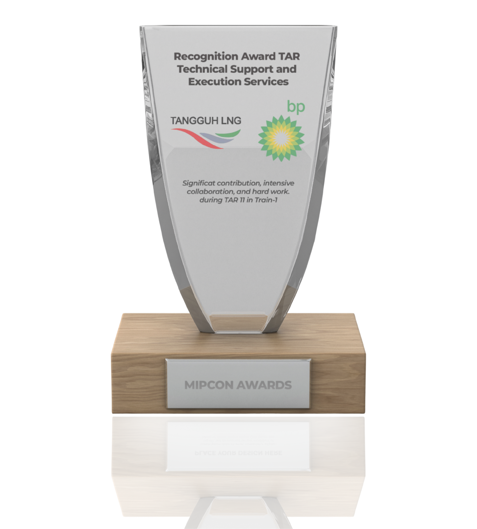 Tangguh LNG TAR Technical Support and Execution Services 2022